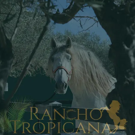 Rancho Tropicana Alicante